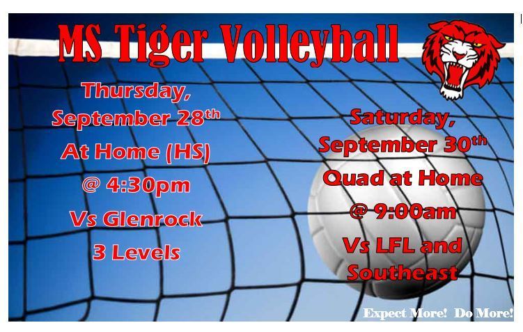 MS Vball